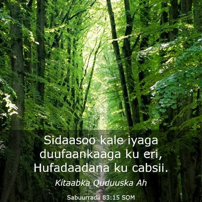 Picture 03 - Sabuurradii 83:15 SOM - Sidaasoo kale iyaga duufaankaaga ku eri, - Bible Verse Picture
