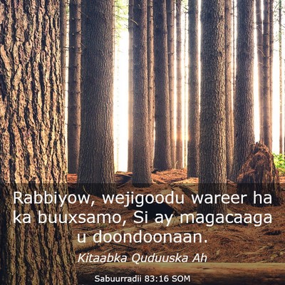 Picture 03 - Sabuurradii 83:16 SOM - Rabbiyow, wejigoodu wareer ha ka buuxsamo, Si ay - Bible Verse Picture