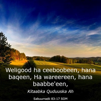 Picture 03 - Sabuurradii 83:17 SOM - Weligood ha ceeboobeen, hana baqeen, Ha - Bible Verse Picture