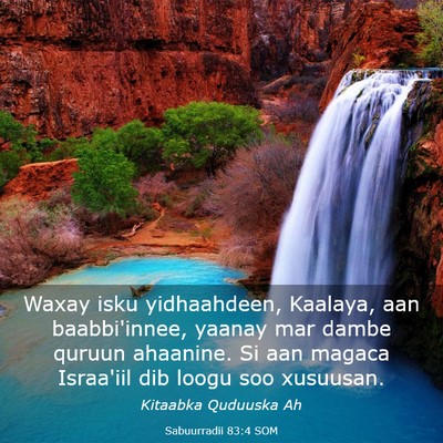 Picture 03 - Sabuurradii 83:4 SOM - Waxay isku yidhaahdeen, Kaalaya, aan - Bible Verse Picture