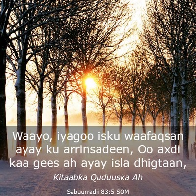 Picture 03 - Sabuurradii 83:5 SOM - Waayo, iyagoo isku waafaqsan ayay ku arrinsadeen, - Bible Verse Picture
