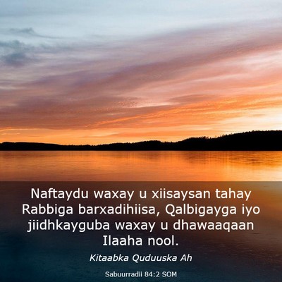Picture 03 - Sabuurradii 84:2 SOM - Naftaydu waxay u xiisaysan tahay Rabbiga - Bible Verse Picture