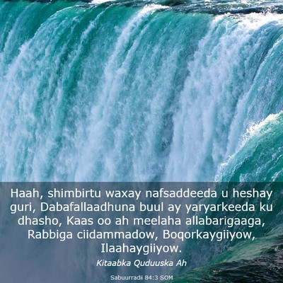 Picture 03 - Sabuurradii 84:3 SOM - Haah, shimbirtu waxay nafsaddeeda u heshay guri, - Bible Verse Picture