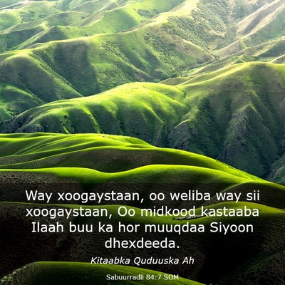 Picture 03 - Sabuurradii 84:7 SOM - Way xoogaystaan, oo weliba way sii xoogaystaan, - Bible Verse Picture
