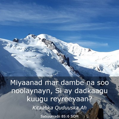 Picture 03 - Sabuurradii 85:6 SOM - Miyaanad mar dambe na soo noolaynayn, Si ay - Bible Verse Picture