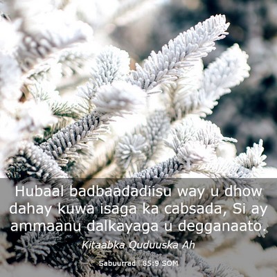 Picture 03 - Sabuurradii 85:9 SOM - Hubaal badbaadadiisu way u dhow dahay kuwa isaga - Bible Verse Picture
