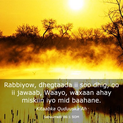 Picture 03 - Sabuurradii 86:1 SOM - Rabbiyow, dhegtaada ii soo dhig, oo ii jawaab, - Bible Verse Picture
