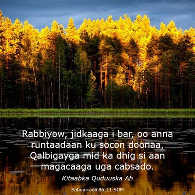 Picture 03 - Sabuurradii 86:11 SOM - Rabbiyow, jidkaaga i bar, oo anna runtaadaan ku - Bible Verse Picture