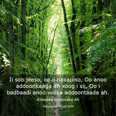 Picture 03 - Sabuurradii 86:16 SOM - Ii soo jeeso, oo ii naxariiso, Oo anoo - Bible Verse Picture