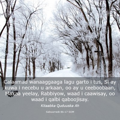 Picture 03 - Sabuurradii 86:17 SOM - Calaamad wanaaggaaga lagu garto i tus, Si ay kuwa - Bible Verse Picture