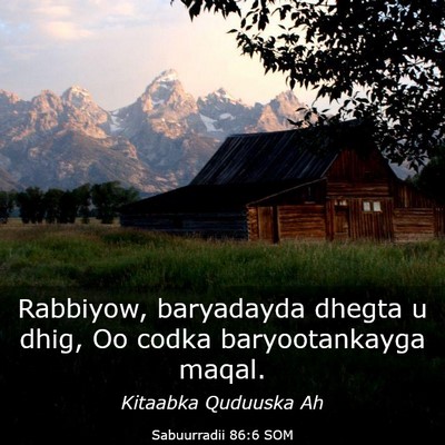 Picture 03 - Sabuurradii 86:6 SOM - Rabbiyow, baryadayda dhegta u dhig, Oo codka - Bible Verse Picture