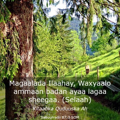 Picture 03 - Sabuurradii 87:3 SOM - Magaalada Ilaahay, Waxyaalo ammaan badan ayaa - Bible Verse Picture