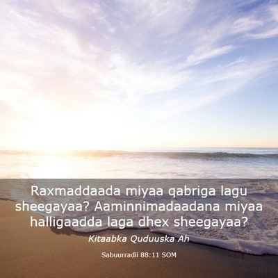 Picture 03 - Sabuurradii 88:11 SOM - Raxmaddaada miyaa qabriga lagu sheegayaa? - Bible Verse Picture