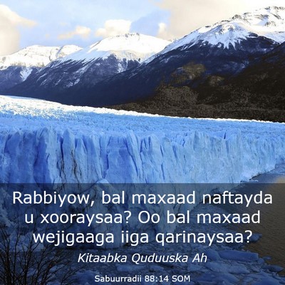 Picture 03 - Sabuurradii 88:14 SOM - Rabbiyow, bal maxaad naftayda u xooraysaa? Oo bal - Bible Verse Picture