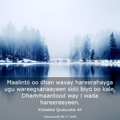 Picture 03 - Sabuurradii 88:17 SOM - Maalintii oo dhan waxay hareerahayga ugu - Bible Verse Picture