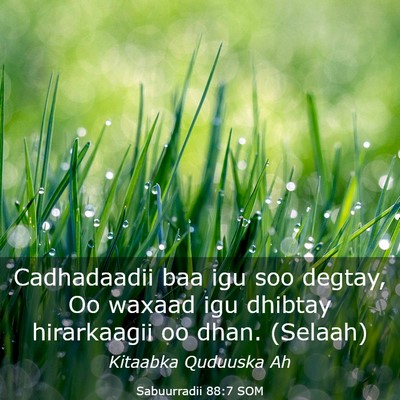 Picture 03 - Sabuurradii 88:7 SOM - Cadhadaadii baa igu soo degtay, Oo waxaad igu - Bible Verse Picture