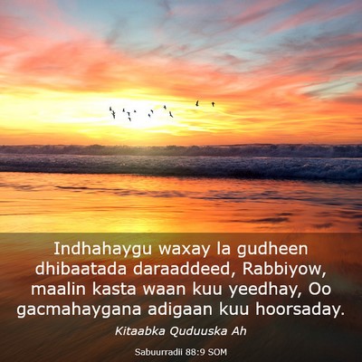 Picture 03 - Sabuurradii 88:9 SOM - Indhahaygu waxay la gudheen dhibaatada - Bible Verse Picture