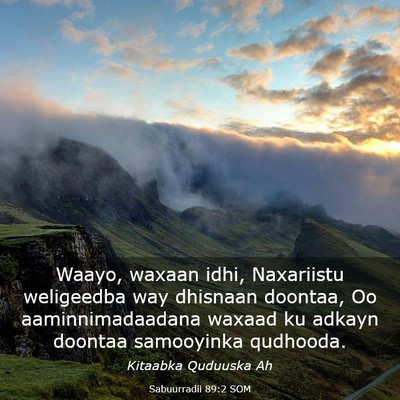 Picture 03 - Sabuurradii 89:2 SOM - Waayo, waxaan idhi, Naxariistu weligeedba way - Bible Verse Picture