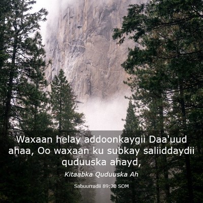 Picture 03 - Sabuurradii 89:20 SOM - Waxaan helay addoonkaygii Daa'uud ahaa, Oo waxaan - Bible Verse Picture