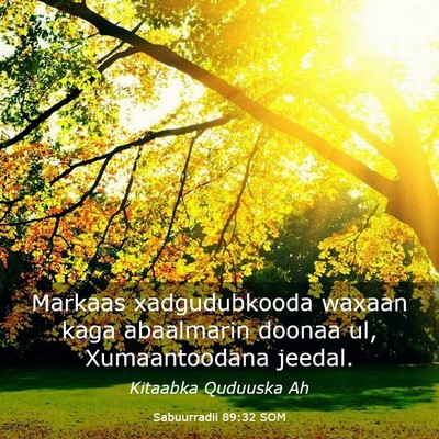 Picture 03 - Sabuurradii 89:32 SOM - Markaas xadgudubkooda waxaan kaga abaalmarin - Bible Verse Picture
