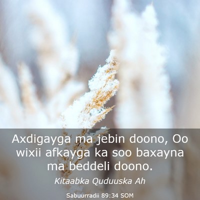 Picture 03 - Sabuurradii 89:34 SOM - Axdigayga ma jebin doono, Oo wixii afkayga ka soo - Bible Verse Picture