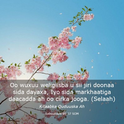 Picture 03 - Sabuurradii 89:37 SOM - Oo wuxuu weligiisba u sii jiri doonaa sida - Bible Verse Picture