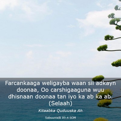 Picture 03 - Sabuurradii 89:4 SOM - Farcankaaga weligayba waan sii adkayn doonaa, Oo - Bible Verse Picture
