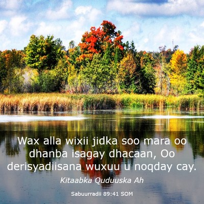 Picture 03 - Sabuurradii 89:41 SOM - Wax alla wixii jidka soo mara oo dhanba isagay - Bible Verse Picture