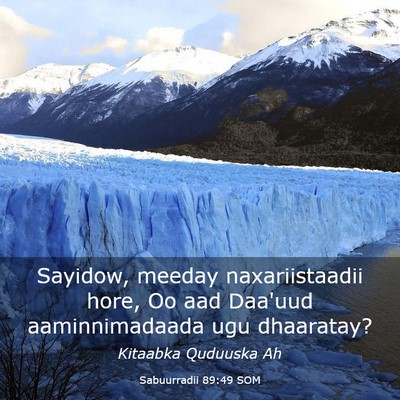 Picture 03 - Sabuurradii 89:49 SOM - Sayidow, meeday naxariistaadii hore, Oo aad - Bible Verse Picture