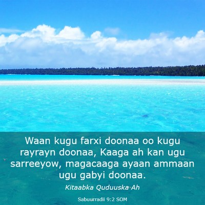 Picture 03 - Sabuurradii 9:2 SOM - Waan kugu farxi doonaa oo kugu rayrayn doonaa, - Bible Verse Picture