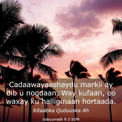Picture 03 - Sabuurradii 9:3 SOM - Cadaawayaashaydu markii ay dib u noqdaan, Way - Bible Verse Picture