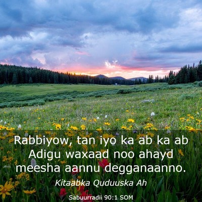Picture 03 - Sabuurradii 90:1 SOM - Rabbiyow, tan iyo ka ab ka ab Adigu waxaad noo - Bible Verse Picture