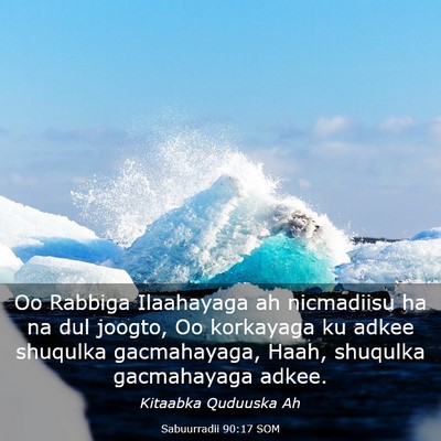 Picture 03 - Sabuurradii 90:17 SOM - Oo Rabbiga Ilaahayaga ah nicmadiisu ha na dul - Bible Verse Picture