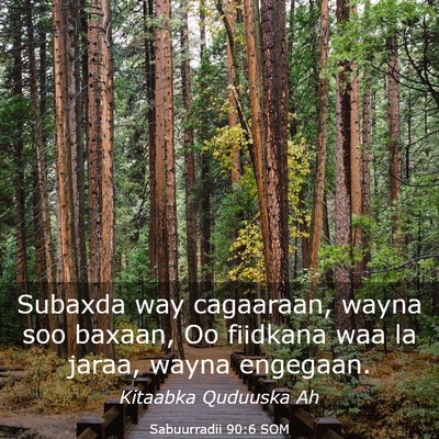 Picture 03 - Sabuurradii 90:6 SOM - Subaxda way cagaaraan, wayna soo baxaan, Oo - Bible Verse Picture