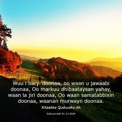 Picture 03 - Sabuurradii 91:15 SOM - Wuu i baryi doonaa, oo waan u jawaabi doonaa, Oo - Bible Verse Picture