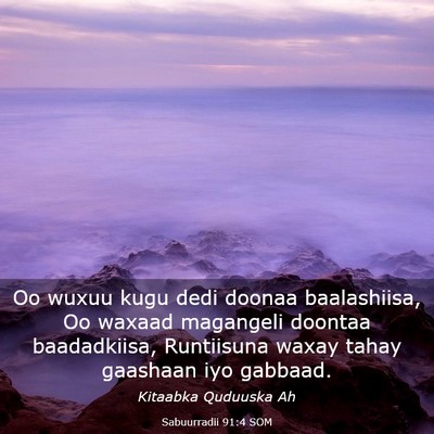 Picture 03 - Sabuurradii 91:4 SOM - Oo wuxuu kugu dedi doonaa baalashiisa, Oo waxaad - Bible Verse Picture