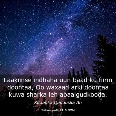 Picture 03 - Sabuurradii 91:8 SOM - Laakiinse indhaha uun baad ku fiirin doontaa, Oo - Bible Verse Picture