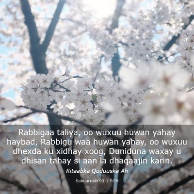 Picture 03 - Sabuurradii 93:1 SOM - Rabbigaa taliya, oo wuxuu huwan yahay haybad, - Bible Verse Picture