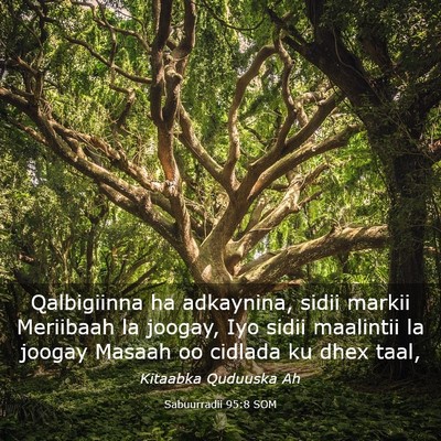 Picture 03 - Sabuurradii 95:8 SOM - Qalbigiinna ha adkaynina, sidii markii Meriibaah - Bible Verse Picture