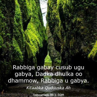 Picture 03 - Sabuurradii 96:1 SOM - Rabbiga gabay cusub ugu gabya, Dadka dhulka oo - Bible Verse Picture
