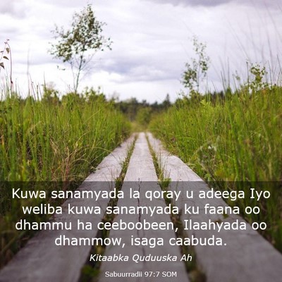 Picture 03 - Sabuurradii 97:7 SOM - Kuwa sanamyada la qoray u adeega Iyo weliba kuwa - Bible Verse Picture