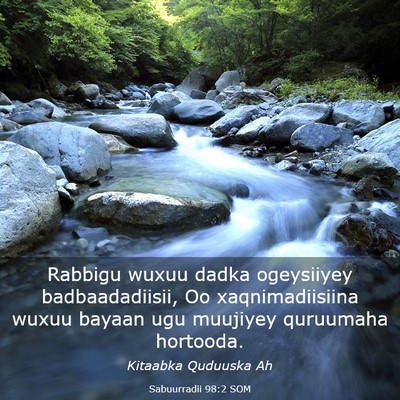 Picture 03 - Sabuurradii 98:2 SOM - Rabbigu wuxuu dadka ogeysiiyey badbaadadiisii, Oo - Bible Verse Picture