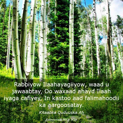 Picture 03 - Sabuurradii 99:8 SOM - Rabbiyow Ilaahayagiiyow, waad u jawaabtay, Oo - Bible Verse Picture