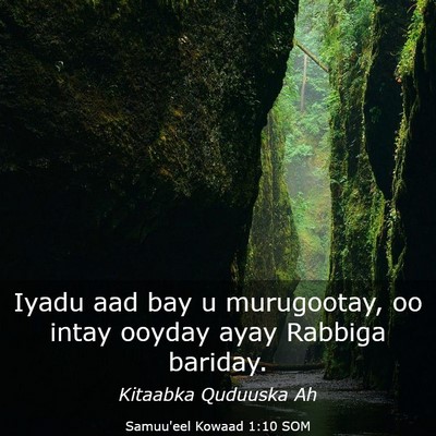 Picture 03 - Samuu'eel Kowaad 1:10 SOM - Iyadu aad bay u murugootay, oo intay ooyday ayay - Bible Verse Picture