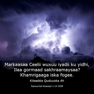 Picture 03 - Samuu'eel Kowaad 1:14 SOM - Markaasaa Ceelii wuxuu iyadii ku yidhi, Ilaa - Bible Verse Picture