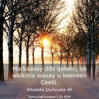 Picture 03 - Samuu'eel Kowaad 1:25 SOM - Markaasay dibi qaleen, oo wiilkiina waxay u - Bible Verse Picture