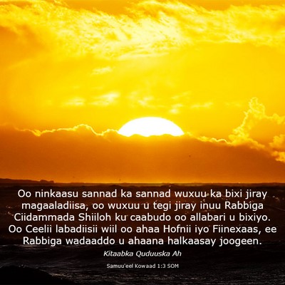 Picture 03 - Samuu'eel Kowaad 1:3 SOM - Oo ninkaasu sannad ka sannad wuxuu ka bixi jiray - Bible Verse Picture