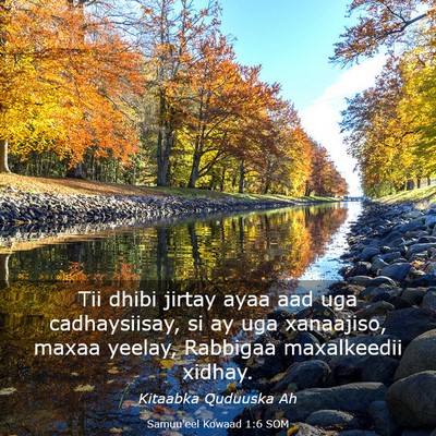 Picture 03 - Samuu'eel Kowaad 1:6 SOM - Tii dhibi jirtay ayaa aad uga cadhaysiisay, si ay - Bible Verse Picture