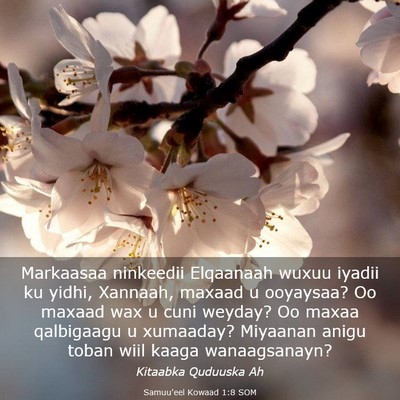 Picture 03 - Samuu'eel Kowaad 1:8 SOM - Markaasaa ninkeedii Elqaanaah wuxuu iyadii ku - Bible Verse Picture