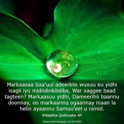 Picture 03 - Samuu'eel Kowaad 10:14 SOM - Markaasaa Saa'uul adeerkiis wuxuu ku yidhi isagii - Bible Verse Picture